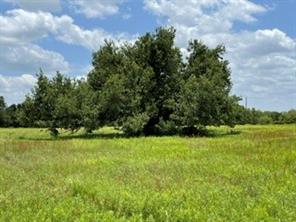 2040 Canyon Ranch Road - Photo 3