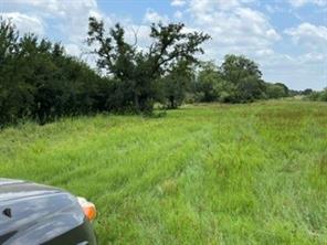 2040 Canyon Ranch Road - Photo 4