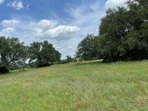2040 Canyon Ranch Road - Photo 5