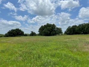 2040 Canyon Ranch Road - Photo 6