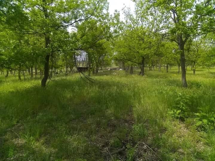 1209 County Road 416 - Photo 1