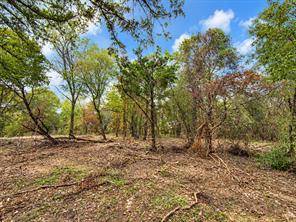TBD L6 Gholson Road - Photo 3