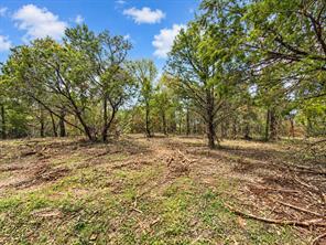 TBD L6 Gholson Road - Photo 5