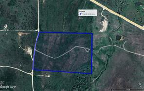 29.56 Acres Ballard Road - Photo 7