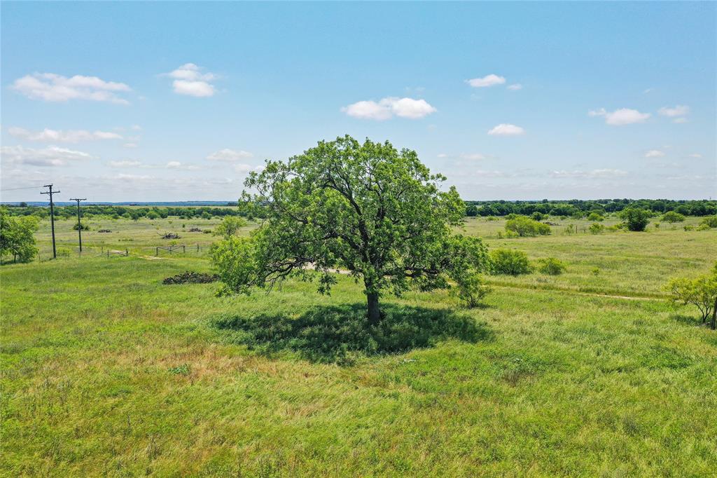 55.06 Acres 281 Highway - Photo 1