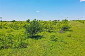 55.06 Acres 281 Highway - Photo 11