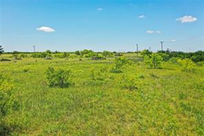 55.06 Acres 281 Highway - Photo 13
