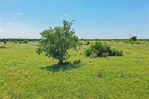 55.06 Acres 281 Highway - Photo 14