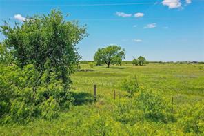 55.06 Acres 281 Highway - Photo 15