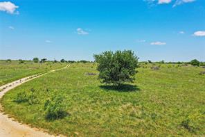 55.06 Acres 281 Highway - Photo 16