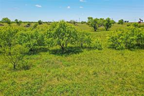 55.06 Acres 281 Highway - Photo 2