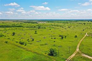 55.06 Acres 281 Highway - Photo 7