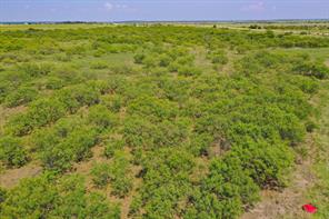 54.53 Acres Hwy 199 Road - Photo 12