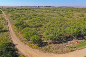 54.53 Acres Hwy 199 Road - Photo 7