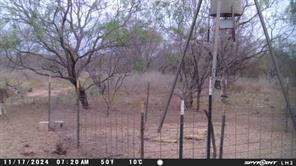 950 CR 442 - Photo 21