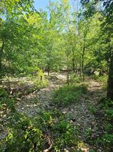 TBD CR 4841 - Photo 13