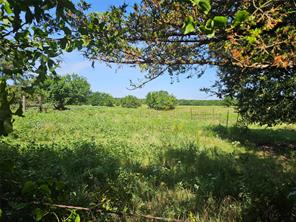 TBD CR 4841 - Photo 6