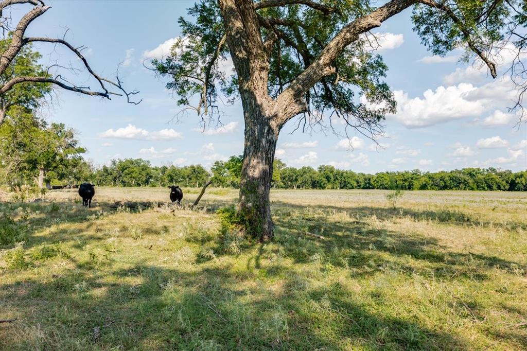 1251 County Road 360 - Photo 11