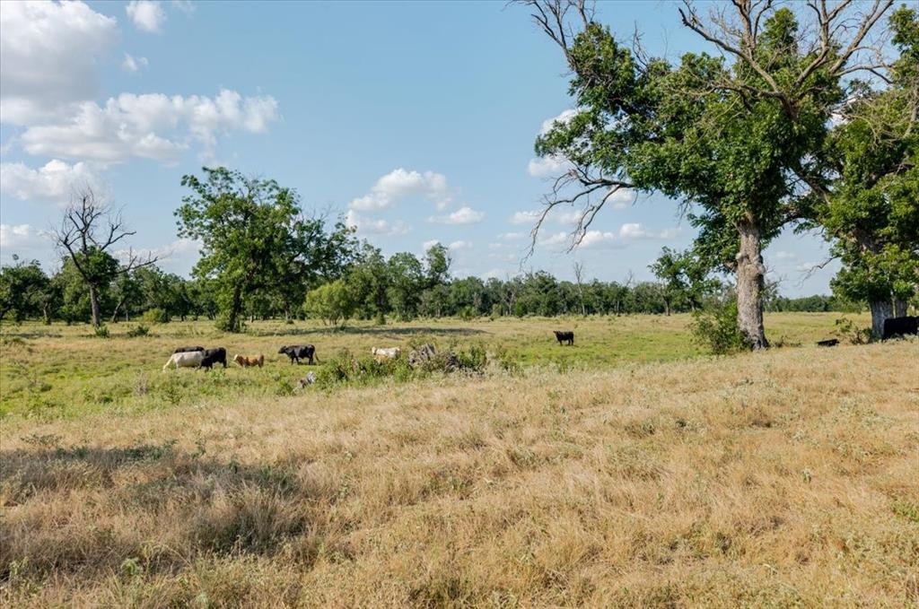 1251 County Road 360 - Photo 13