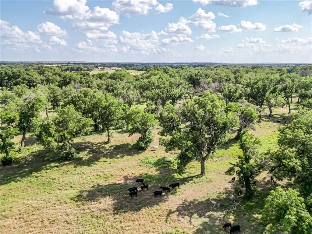 1251 County Road 360 - Photo 21