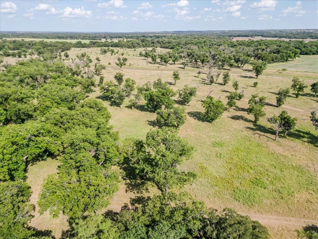1251 County Road 360 - Photo 33