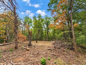 TBD L7 Gholson Road - Photo 2
