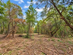 TBD L7 Gholson Road - Photo 4