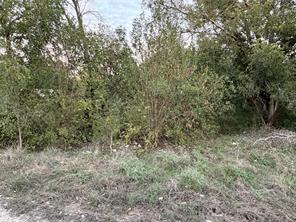 TBD CR 1772 - Photo 3