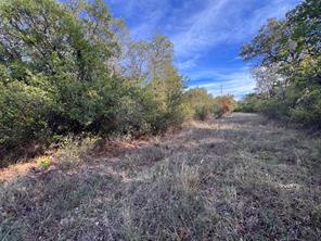 4411 Private Road 1170 - Photo 12