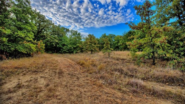 TBD Starkey Road