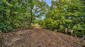 TBD Starkey Road - Photo 13