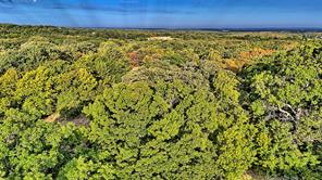 TBD Starkey Road - Photo 14