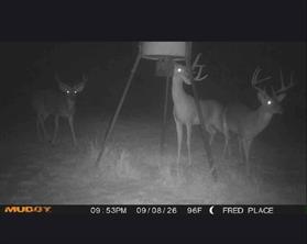 TBD Starkey Road - Photo 17