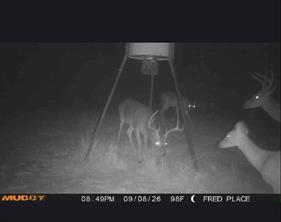 TBD Starkey Road - Photo 18