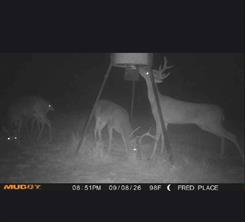 TBD Starkey Road - Photo 19