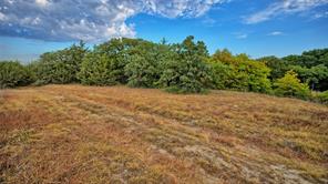 TBD Starkey Road - Photo 2