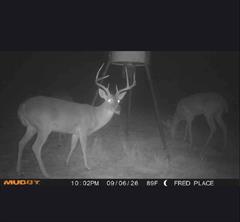 TBD Starkey Road - Photo 20