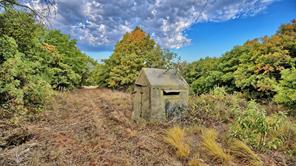 TBD Starkey Road - Photo 3