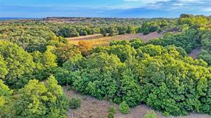 TBD Starkey Road - Photo 6