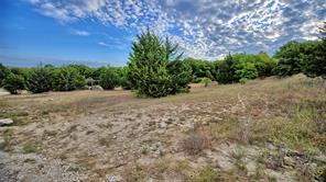 TBD Starkey Road - Photo 9