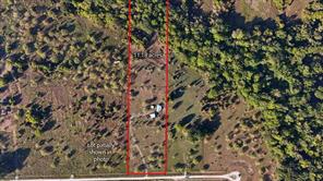 TBD 11.18 Acres Lane - Photo 3
