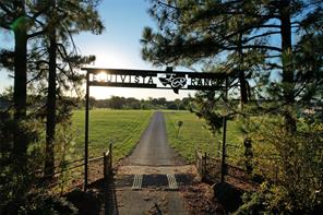 2704 County Road 1103 - Photo 2