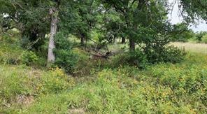 5181 CR 202 - Photo 27