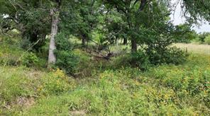 5181 CR 202 - Photo 29