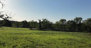 599 CR 241 - Photo 22