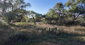 599 CR 241 - Photo 24