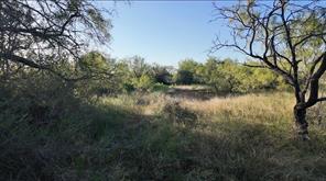 599 CR 241 - Photo 25