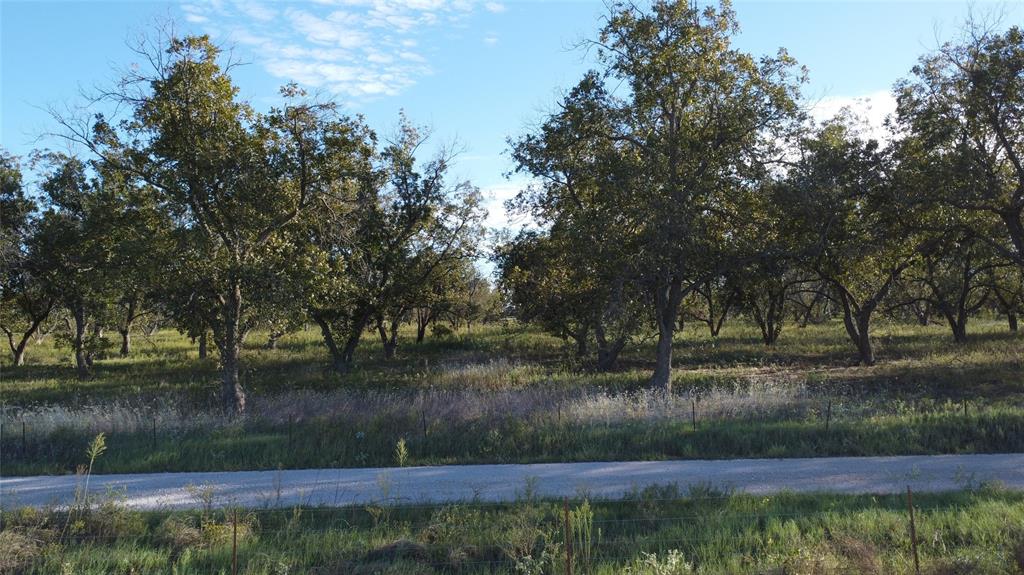 Lot 4 County Road 461 - Photo 1