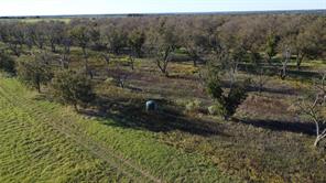 Lot 4 County Road 461 - Photo 10