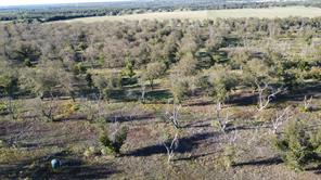 Lot 4 County Road 461 - Photo 11